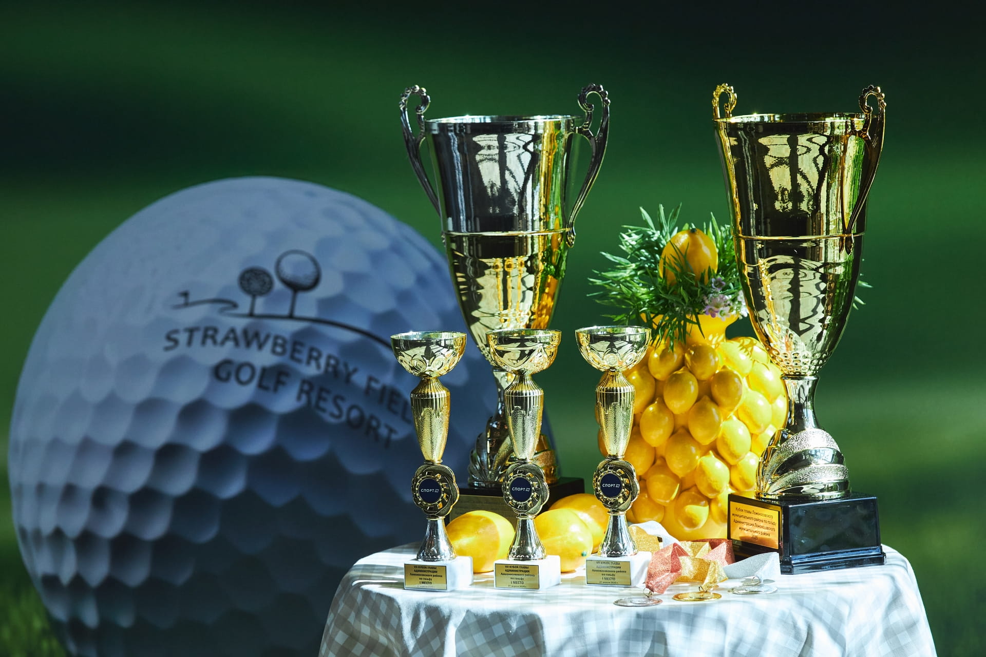 Кубок главы Ломоносовского района 2025