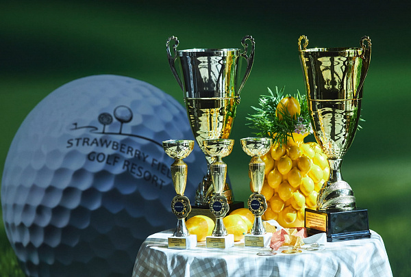 Кубок главы Ломоносовского района 2025