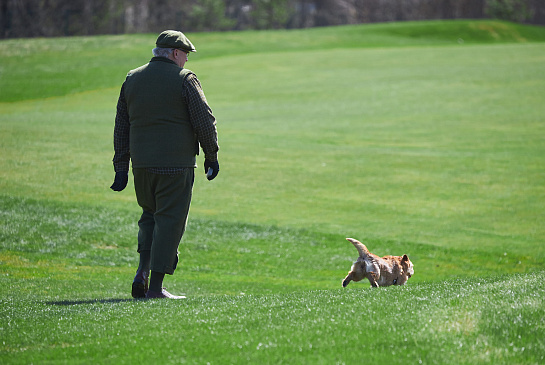 Кубок главы Ломоносовского района 2025 фото
