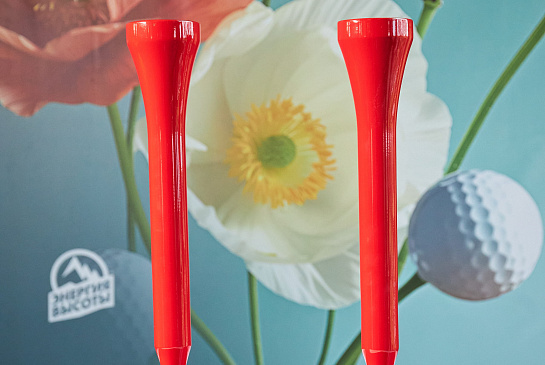 Family Trophy, 1й этап