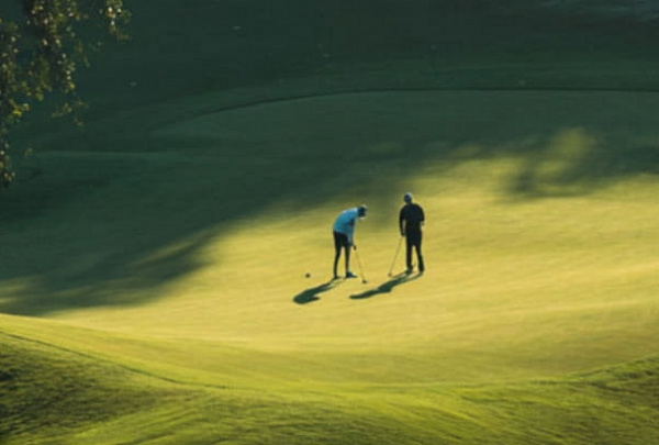 Скидка 20% на грин-фи для друга