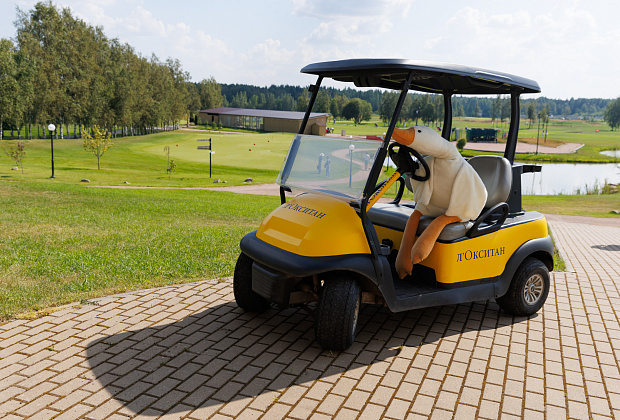 Гольф-кары